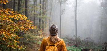Hiking Package 1